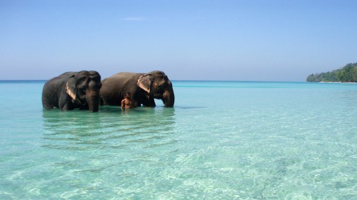 Andaman tour package