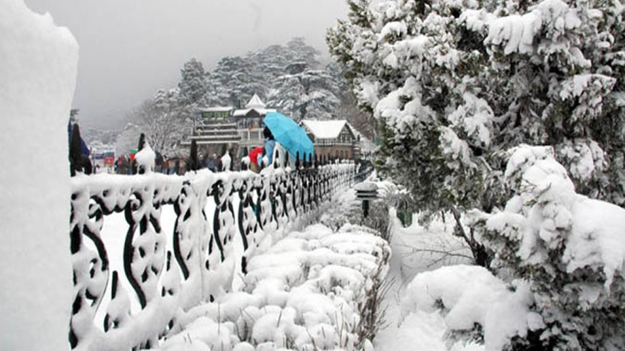 large_shimla-manali-tour