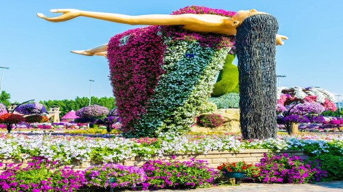 Miracle Garden Dubai